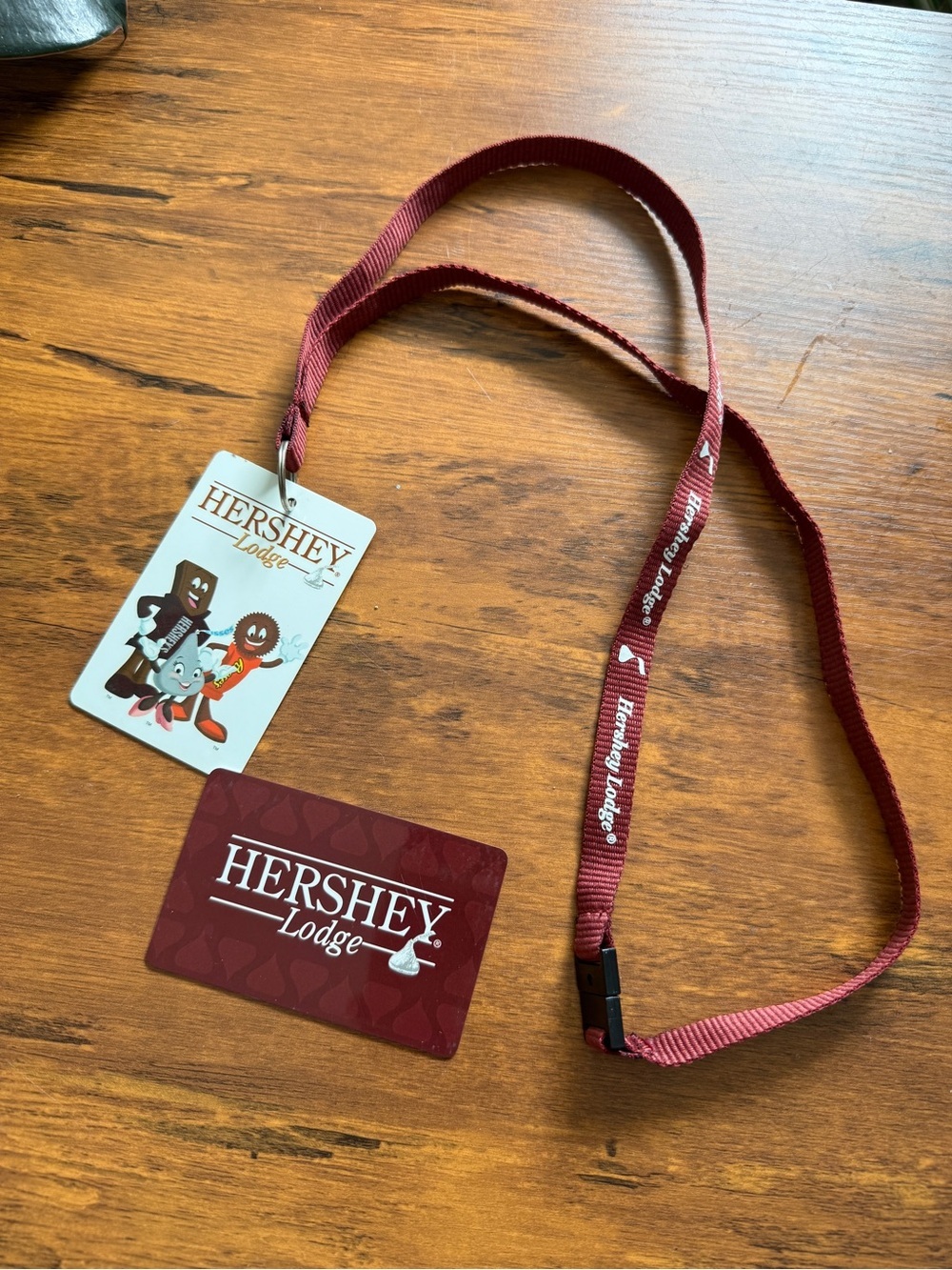 Hershey Park Lanyard and Card